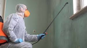 Best Emergency Mold Remediation  in Lakeside, TX